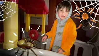Spider | Radio control spider videos | discovery tarantula toy | Max and Melody | giant spider
