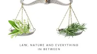Introduction to Ivy's law of nature