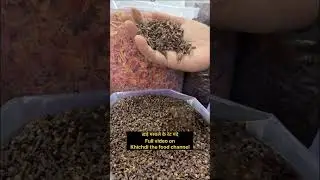 Wholesale Masala Business | Wholesale Masala Market In Delhi | Khari Baoli Masala Market | मसाला