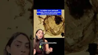 Самая большая загадка эволюции: скучный миллиард