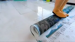 Ultimate Carpet Cleaning Process 🍀✅