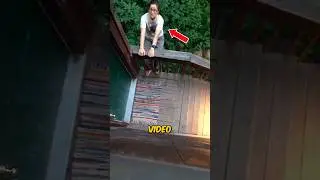 Shocking Wild Animal Encounter... 😳