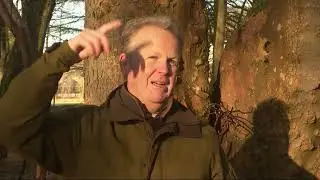 Rare moth to be protected in Peeblesshire