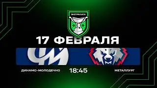Динамо-Молодечно - Металлург | 17.02.2026 | Экстралига | Прямая трансляция