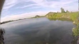 Local Bassholes - how to catch a pike using Zombie Maxx lures by Lucky Bug