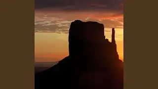 Not Brasil Song