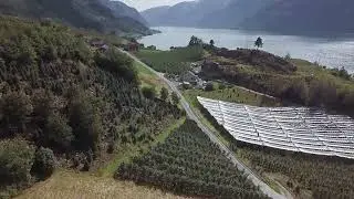Forest Carbon Management (FCM) - UBC Forestry Online Micro-Certificate