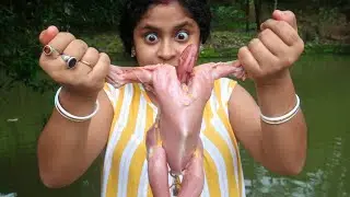 Full Chicken Masala Curry || Chicken Curry Recipe