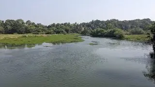 Hidden Lake in Goa l Peaceful and Healthy village life 