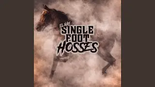 Single Foot Hosses