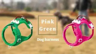 Horse & Dog Suppliers Factory-Plush dog harness