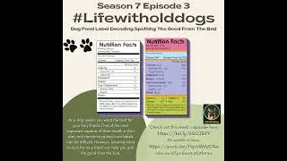 Dog Food Label Decoding Spotting The Good From The Bad