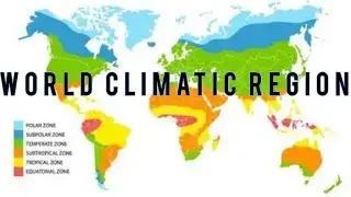 Equatorial region||Climate||vegetation||Human Adaptation