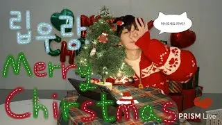 251224 립우랑 메리 크리스마스 하이라이트 | 트리꾸미기 | Q&A | 최립우