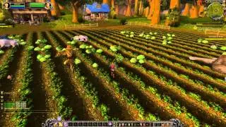 Quest 14: Speak With Gramma (WoW, human, paladin)