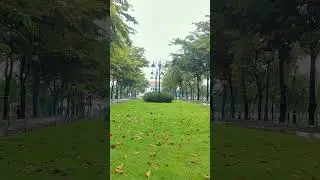 The sound of rain showering on green grass #rain #shower #nature