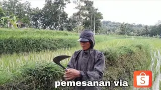 Arit Matta Baja Isian |Test