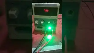 PANEL Short  killer pat 2