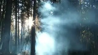 Relextion music with nature sound
