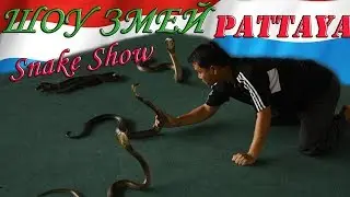 Шоу Змей,Pattaya Snake Show