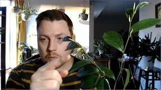 FlossTube Special Exude Kindness #14