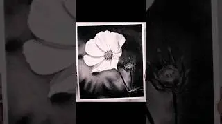 charcoal Drawing 👍🏻#art #pleasesubscribe