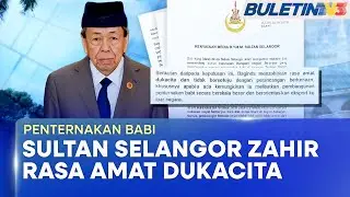 PENTERNAKAN BABI | Sultan Selangor Murka Operasi Berskala Besar Di Kuala Langat
