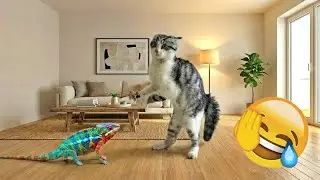 You Will Die Laughing At These Dogs 🐶 The Funniest Dog Moments Compilation 🎇