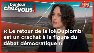 M&eacute;lanie Vogel : &laquo; Le retour de la loi Duplomb est un crachat &agrave; la figure du d&eacute;bat d&eacute;mocratique &raquo;
