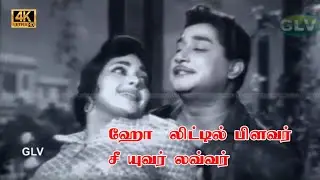 ஹோ&hellip;&hellip;லிட்டில் பிளவர் பாடல் | oh little flower song | Tms | Msv | Sivaji | Rajasree .