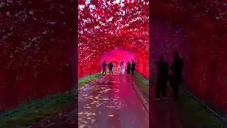 Top Romantic Place in the World 🌎❤️ | Best Couple Destination
