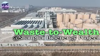 From garbage dump to power plant: Shanghai builds world's largest food waste-to-energy hub
