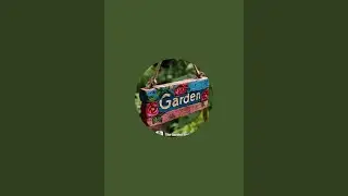 Creative garden decoration ideas