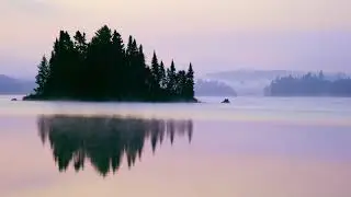 Canon C700 footage test