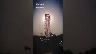 iphone x slowmo video viraltrend #iphonex #iphoneslowmo #iphoneslowmovideo #iphoneslowmoshortvideo
