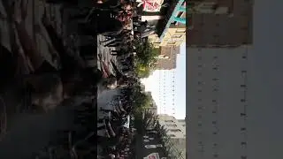 Muharam ul Haram in Tehran #tehran #shorts