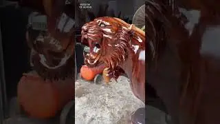 Tiger tips for tree root carving, good machinery and tools to save time and effort