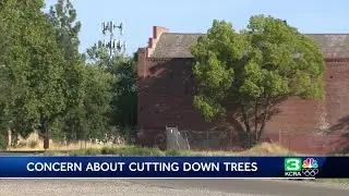Residents raise concerns over Elk Grove tree removal plans