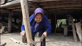 Hidden Life in Vietnam&rsquo;s Highlands