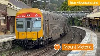 Transport for Sydney Vlog 407: Mount Victoria Trainspotting