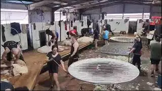 Turner Shearing, Ivanhoe NSW, August 2023