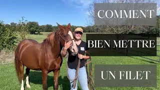 Comment mettre un filet à son cheval