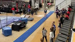 Vault Pass