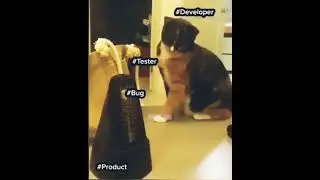 😄😄 #bug #developer #tester #products #shorts #short #reels #viral