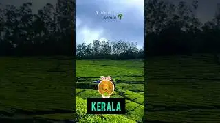 Kerala: Where Nature and Culture Collide #kerala #keralatourism #keralaattraction #keralafood