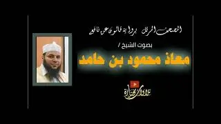 030 سورة الروم |  الشيخ معاذ بن حامد | المصحف المرتل كامل | رواية قالون عن نافع