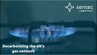 Gas distribution network innovation for a low-carbon future.