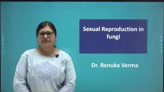 Sexual reproduction in fungi (कवक में लैंगिक जनन)