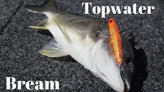 Catching Bream on Surface Lures