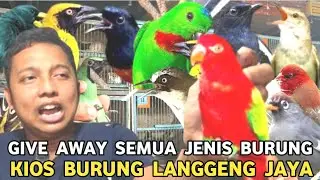 GIVE AWAY UGAL-UGALAN || HAMPIR SEMUA BURUNG GRATIS TANPA SYARAT DIKIOS LANGGENG JAYA PB PRAMUKA